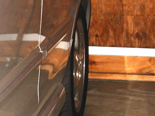falken1.jpg