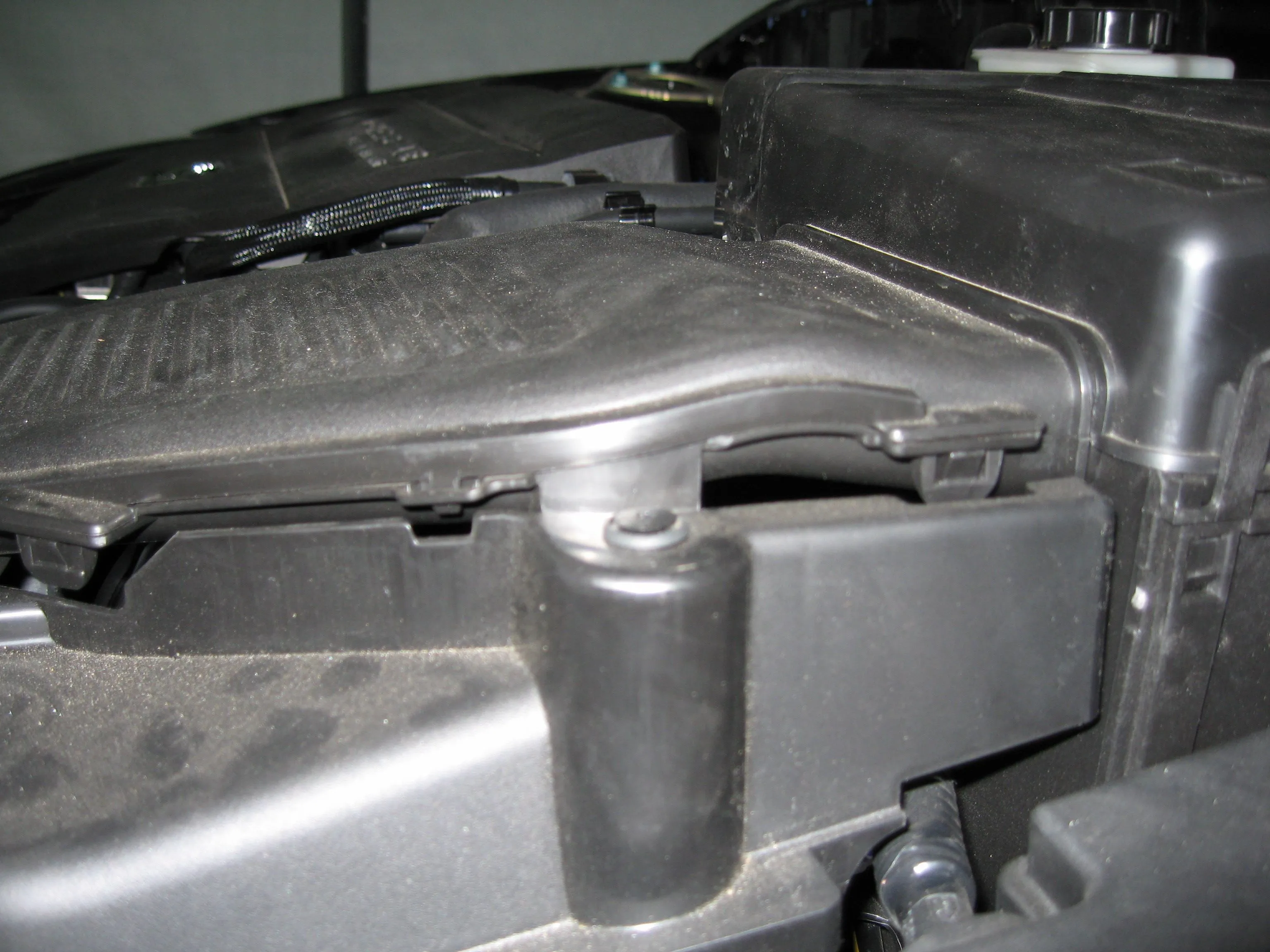 Family 012.webp