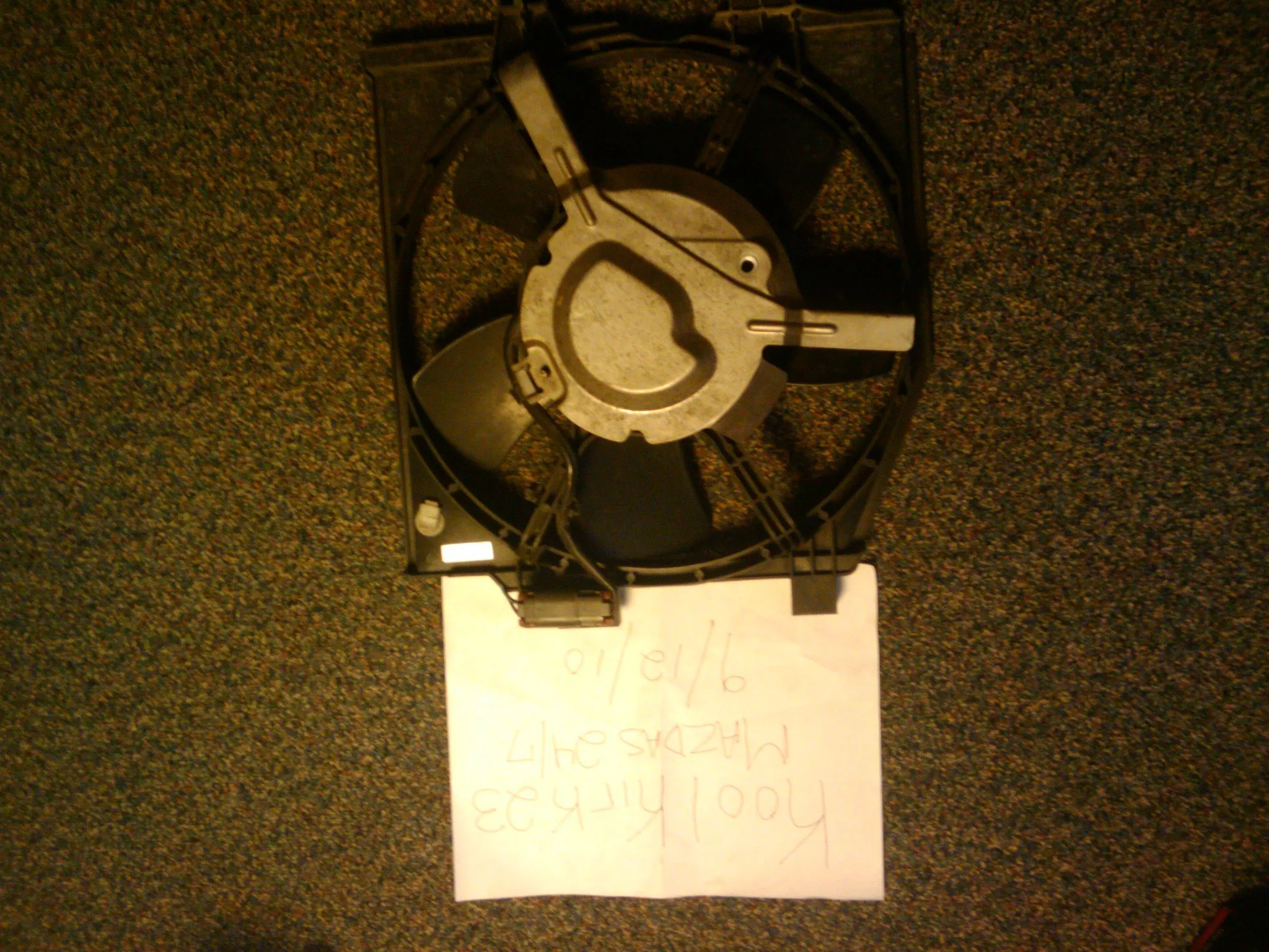 Fan.webp
