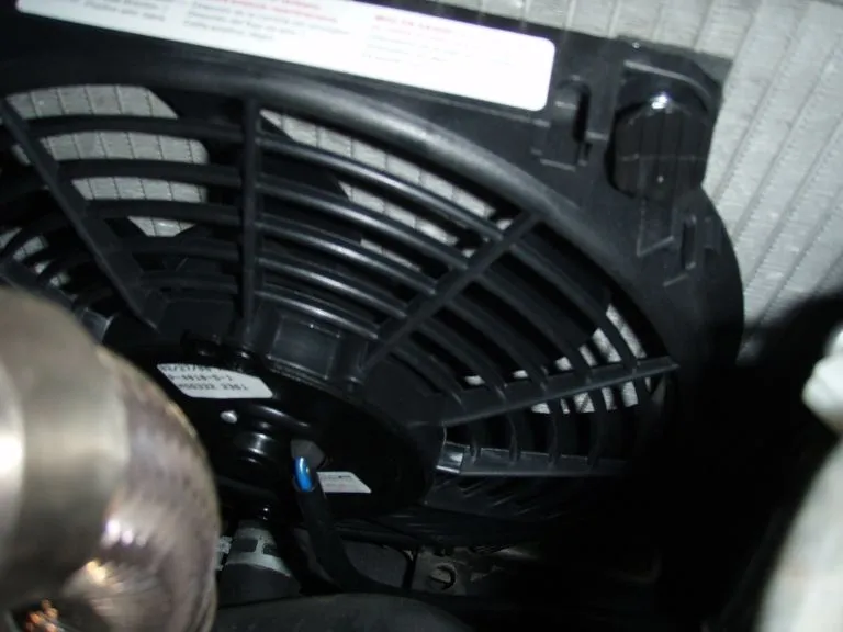 fan2.webp