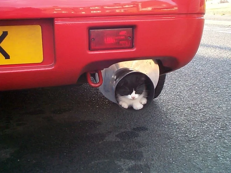 FartCanCat.jpg