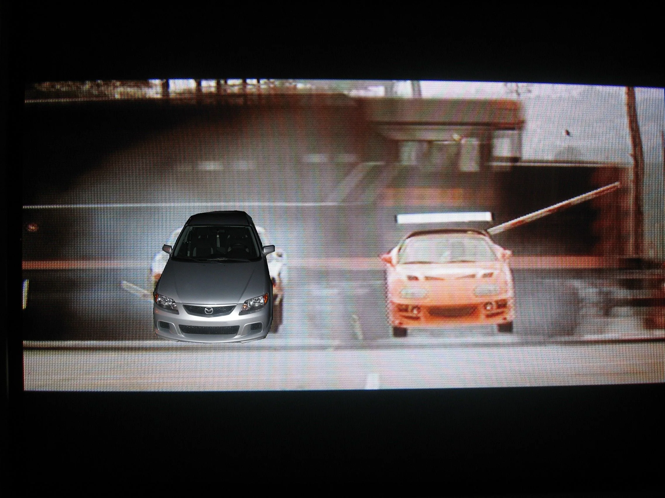 fastnfur.jpg
