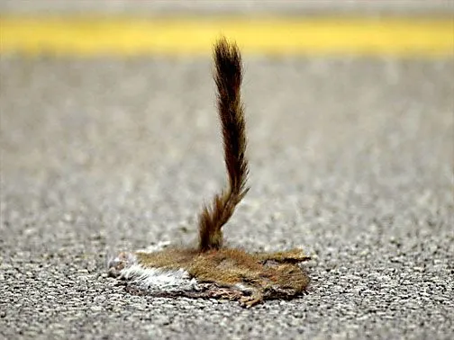 first kill.webp