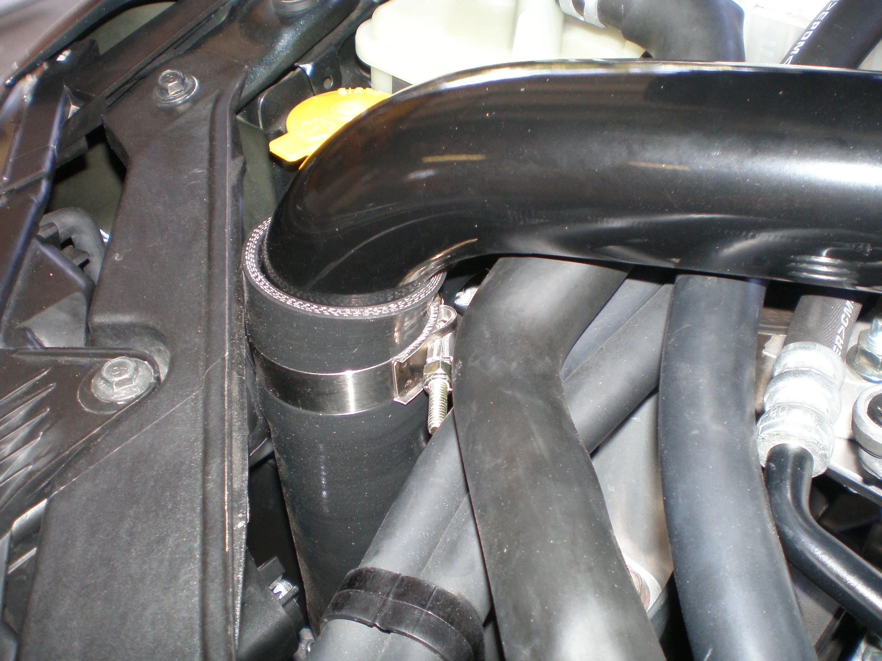 fmic 006.jpg