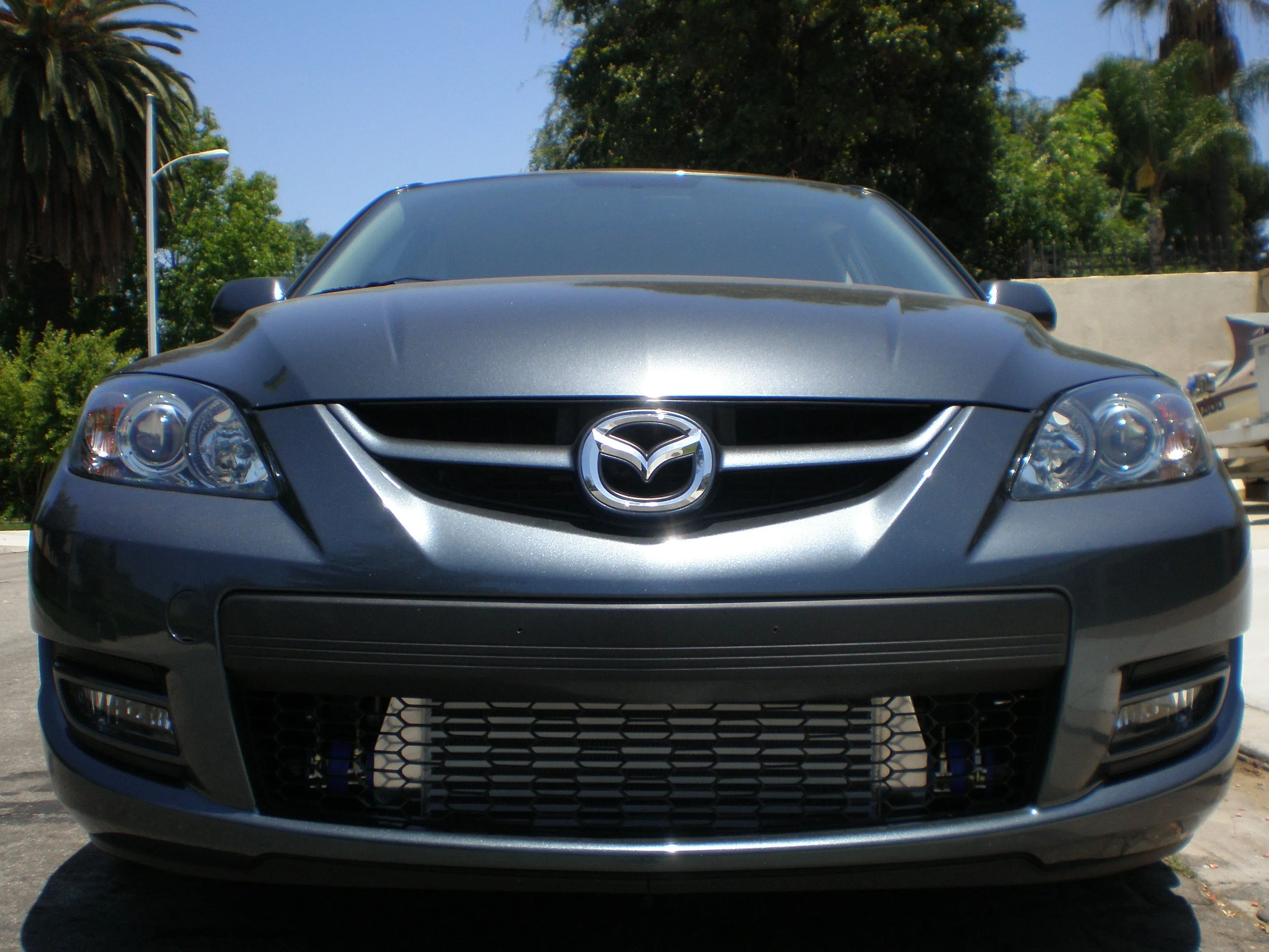 fmic 012.jpg