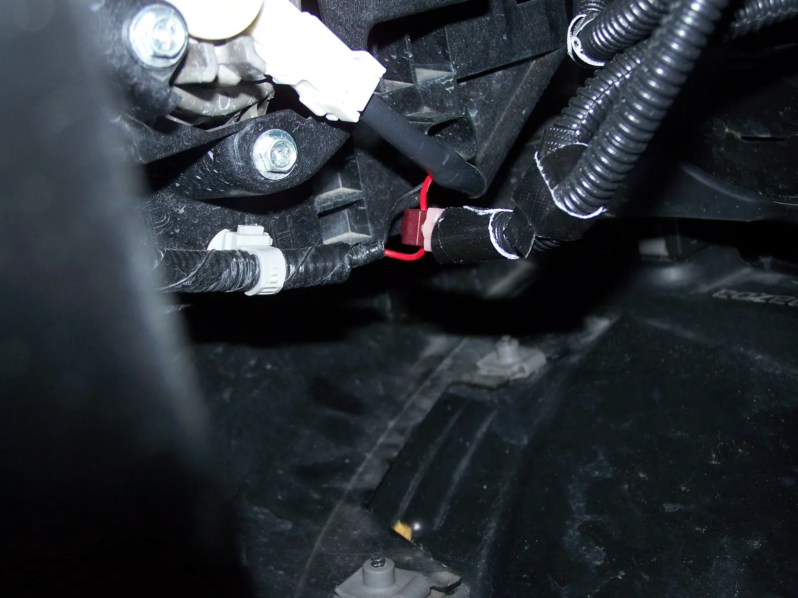 Foglight wiring.JPG