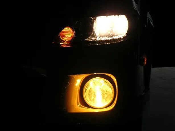 fogs on1.JPG