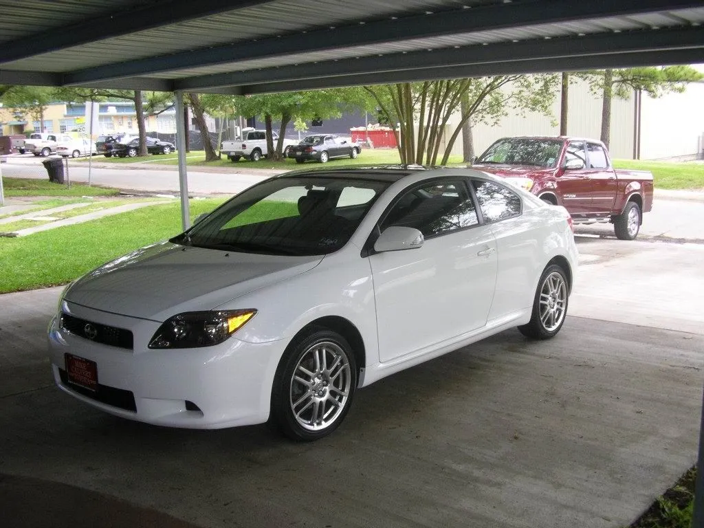 fresh wax.webp