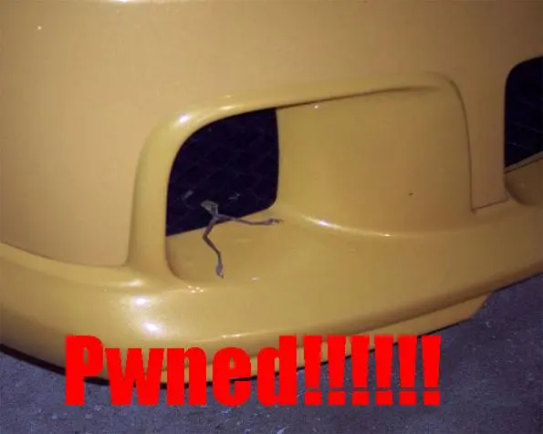 frog2.webp