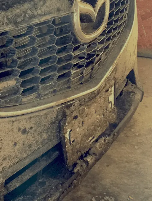 Front Plate2.png
