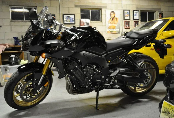 FZ1.webp