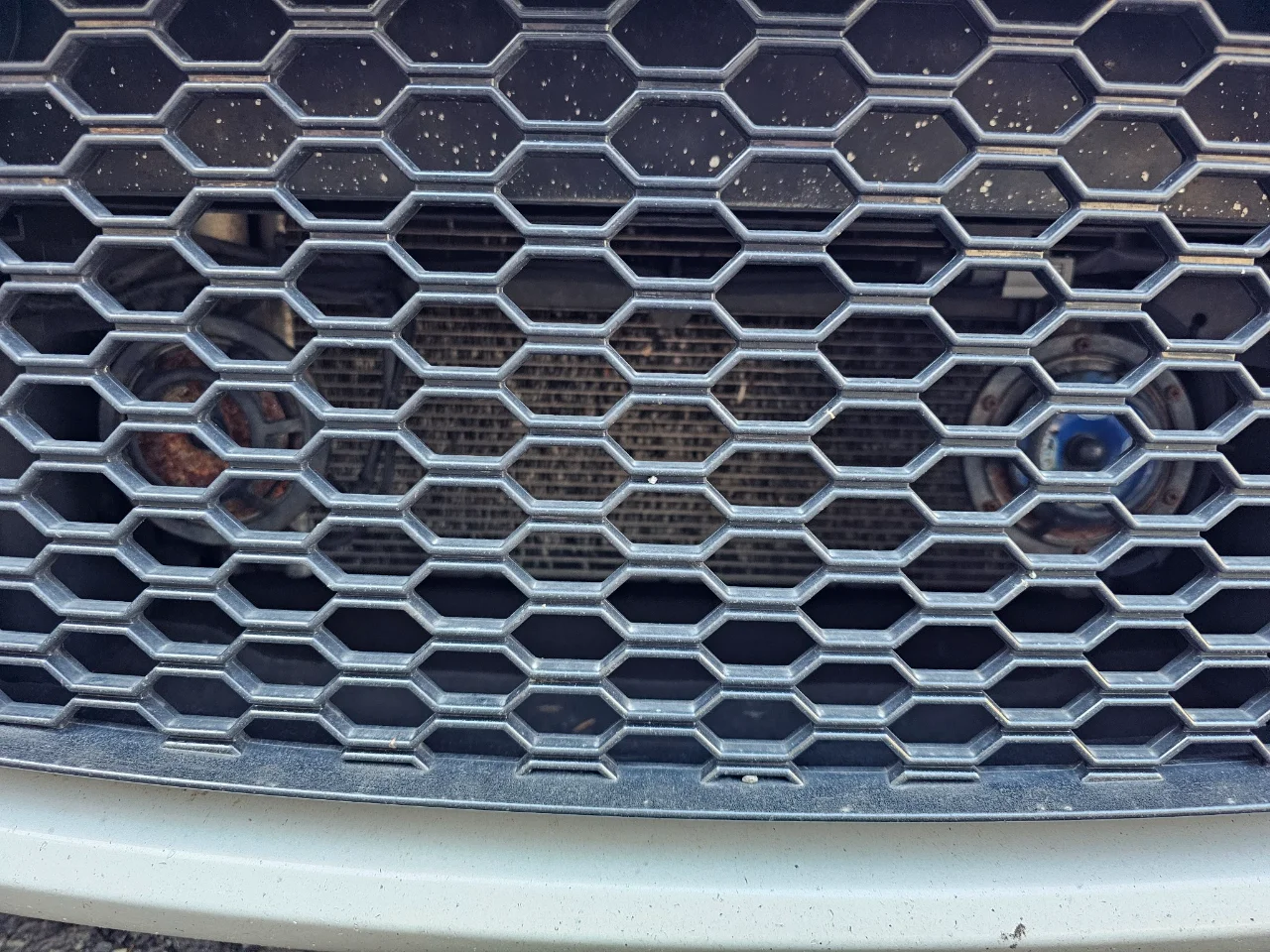 Ghost - Hella Horns.webp