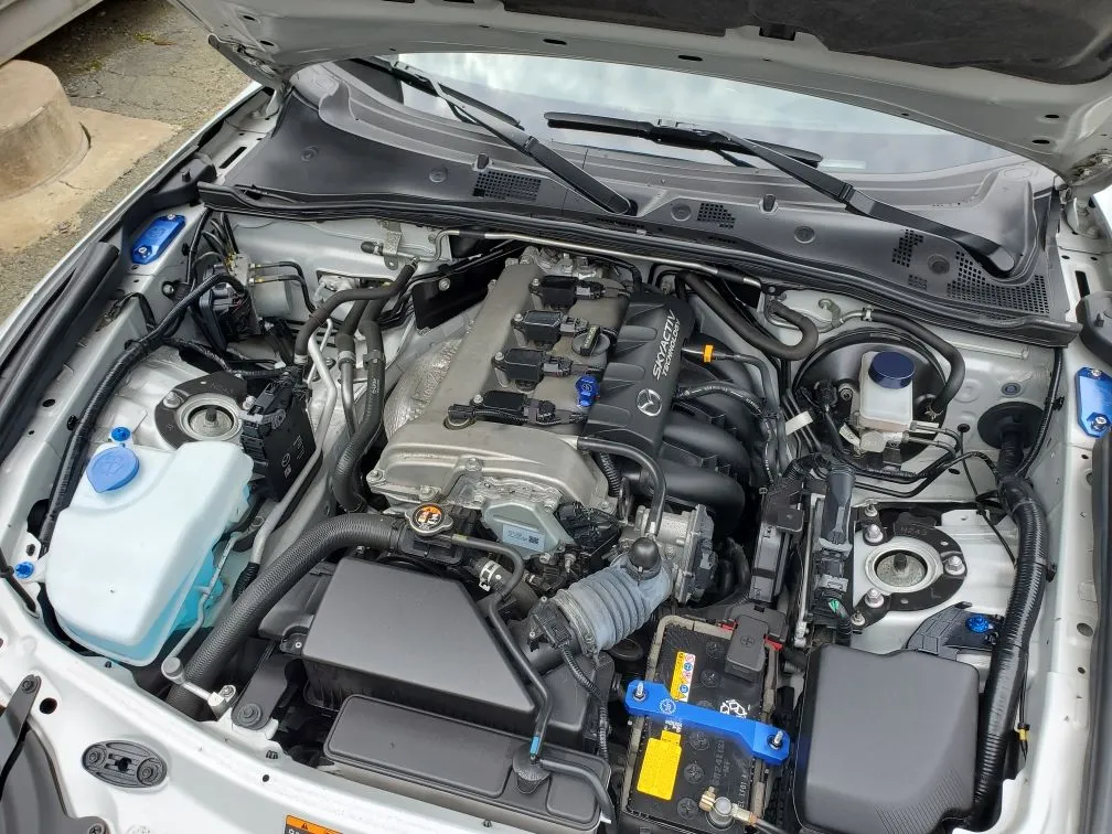 Ghost - PBUSA Blue.jpeg