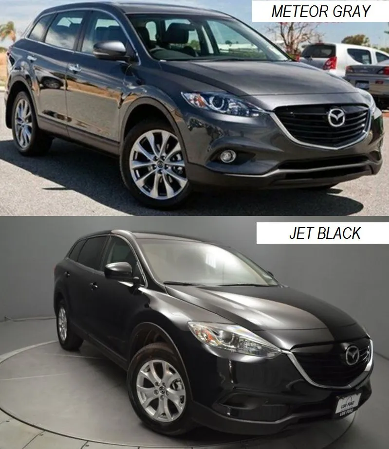 gray vs black.jpg