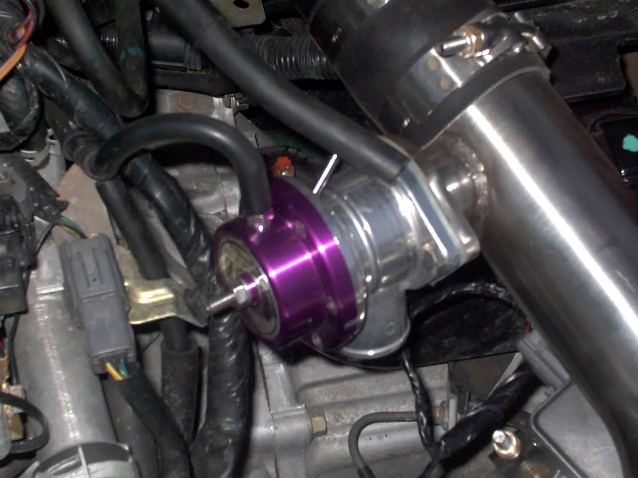 Greddy.webp