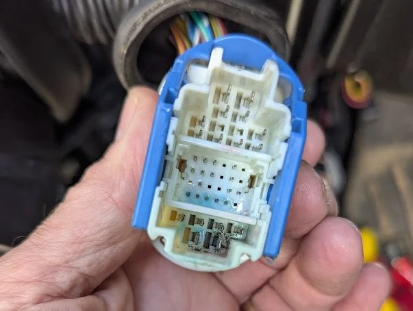 green aint good.webp