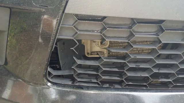 Grill resized1.jpg