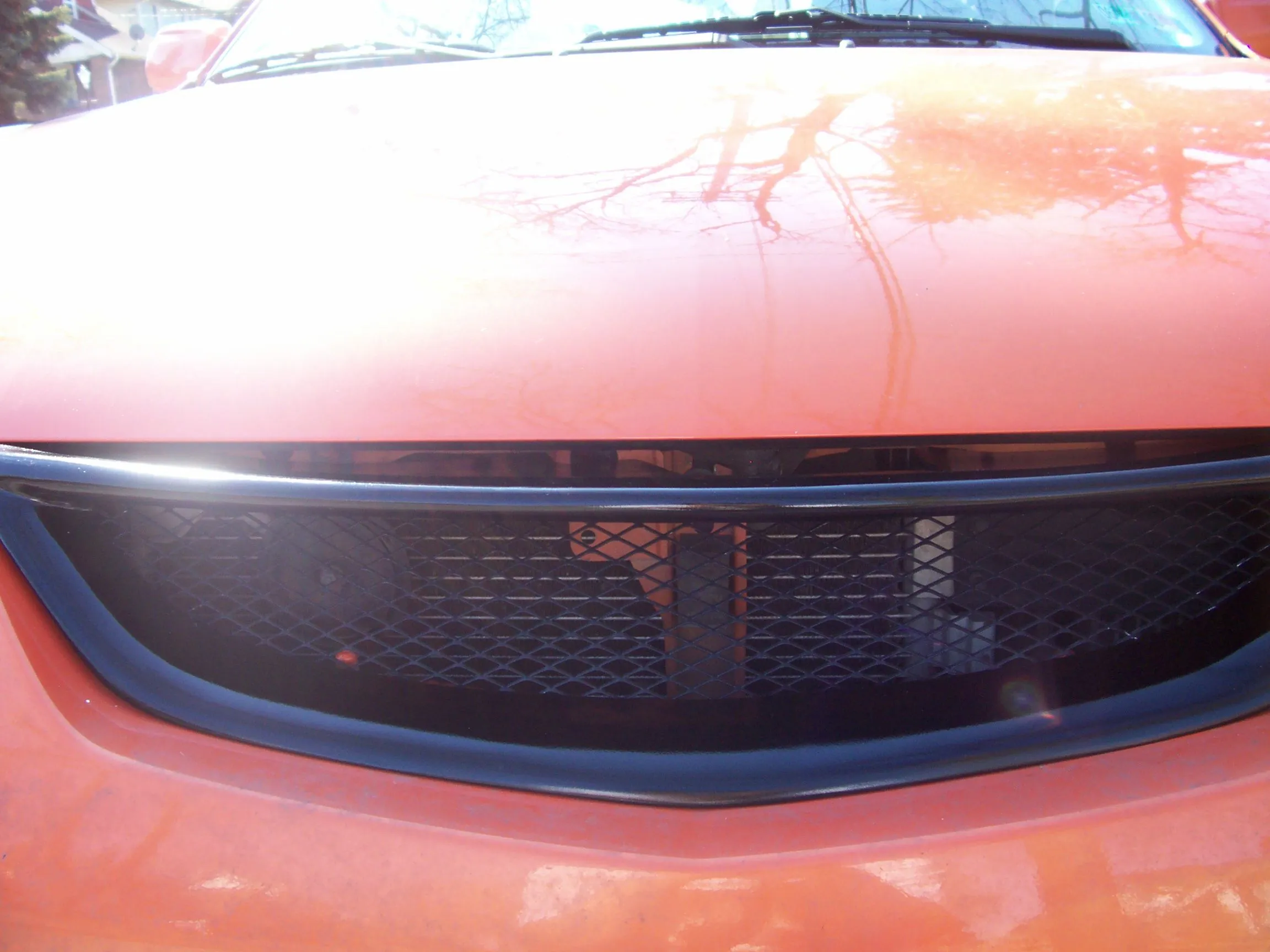 grille6.webp