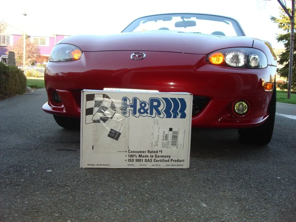 H&R baby.webp