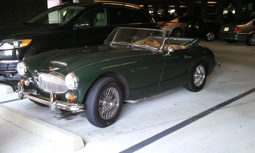 Healy 1.webp