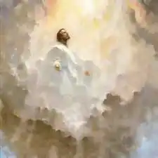 holy s***!.webp