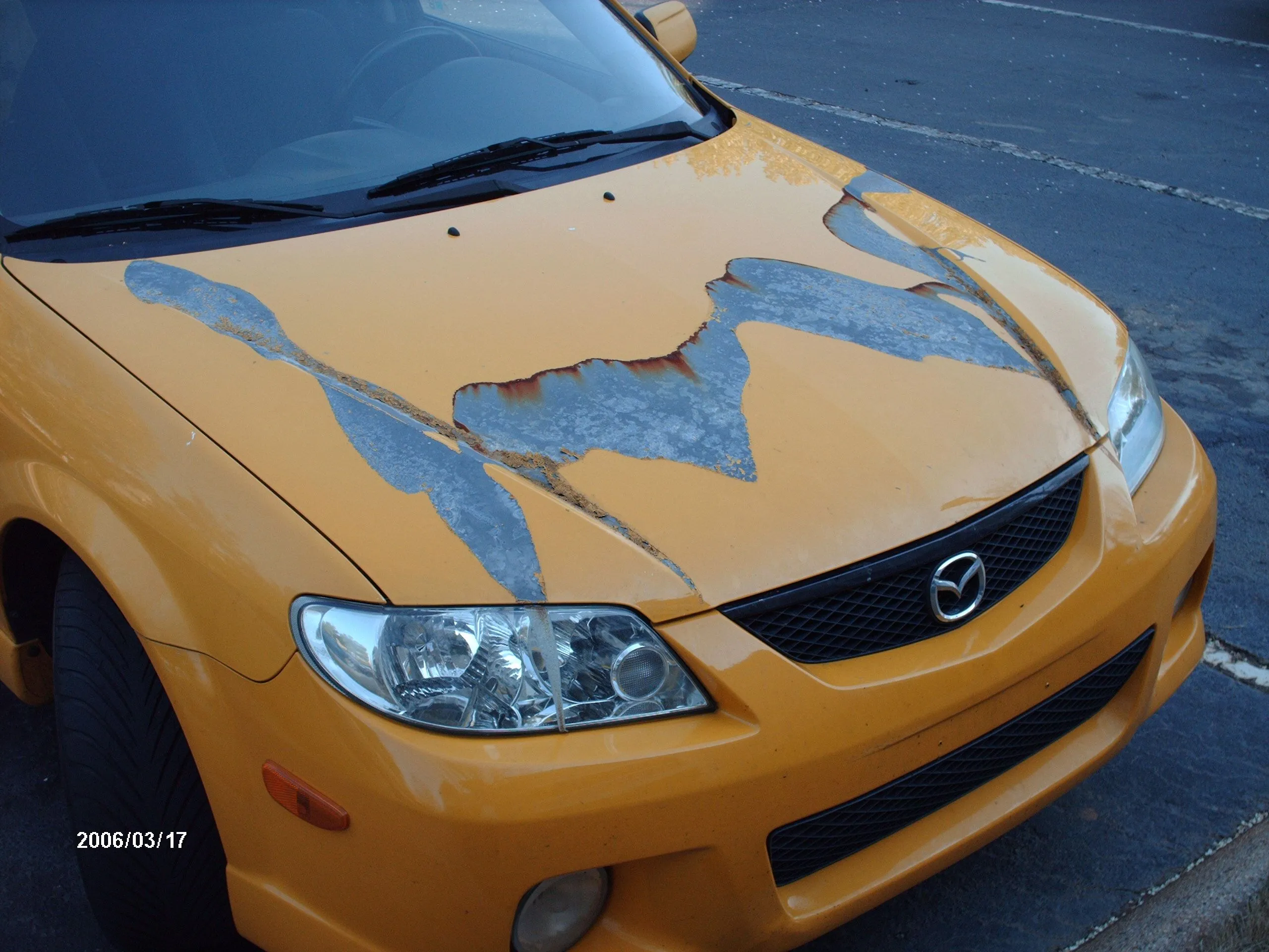 HPIM0167.webp