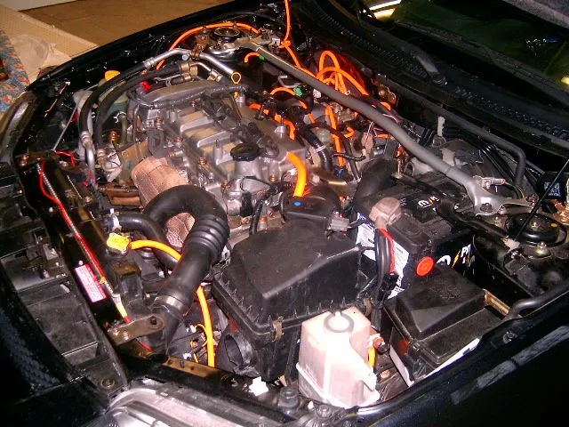 Hpim0497.webp