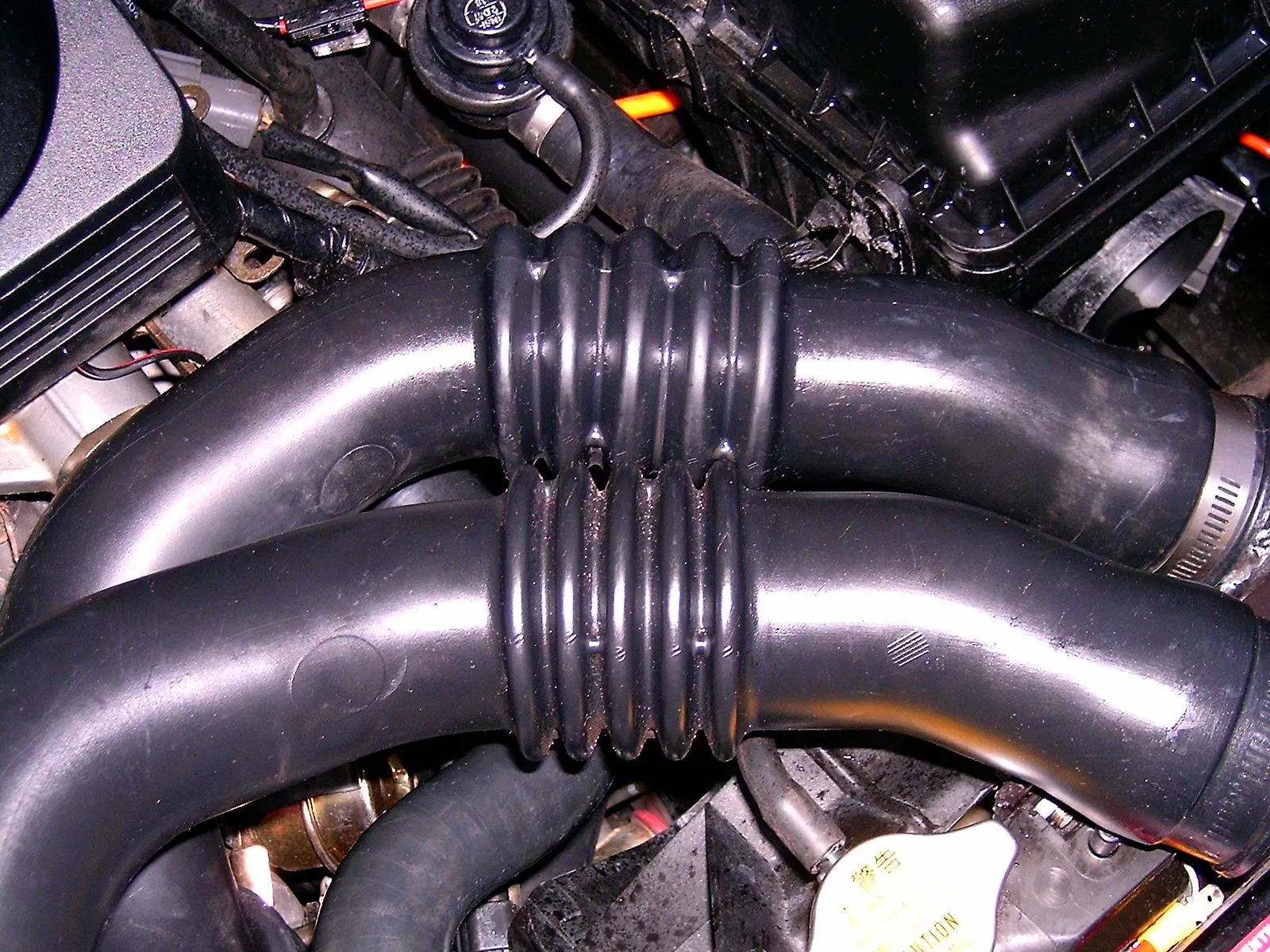 Hpim0587.webp