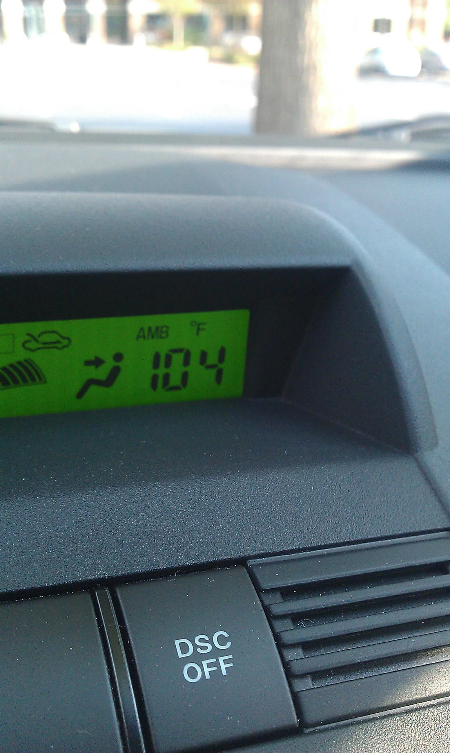 IMAG0050.jpg