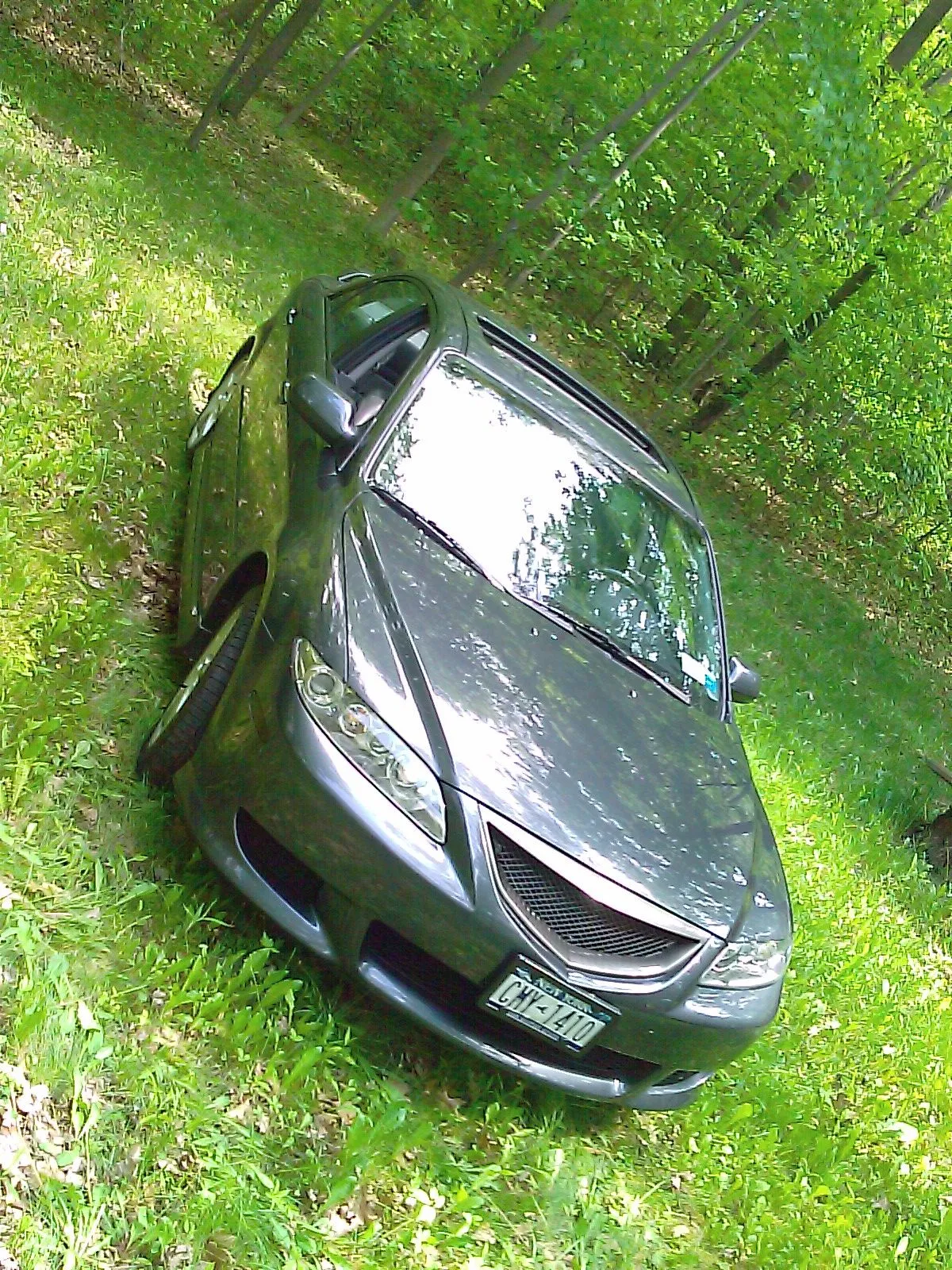 IMAG0145.jpg