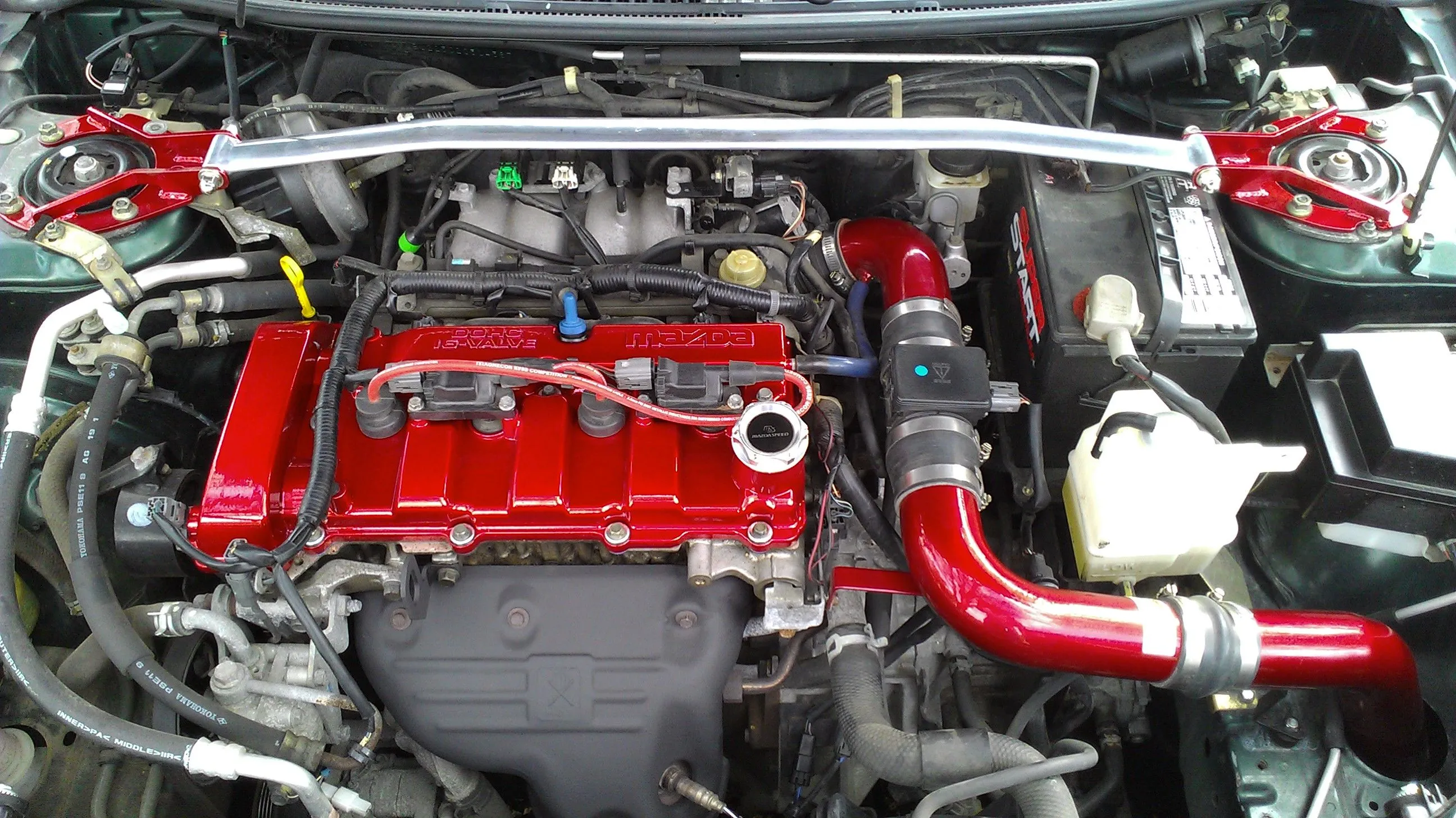 IMAG0146.jpg