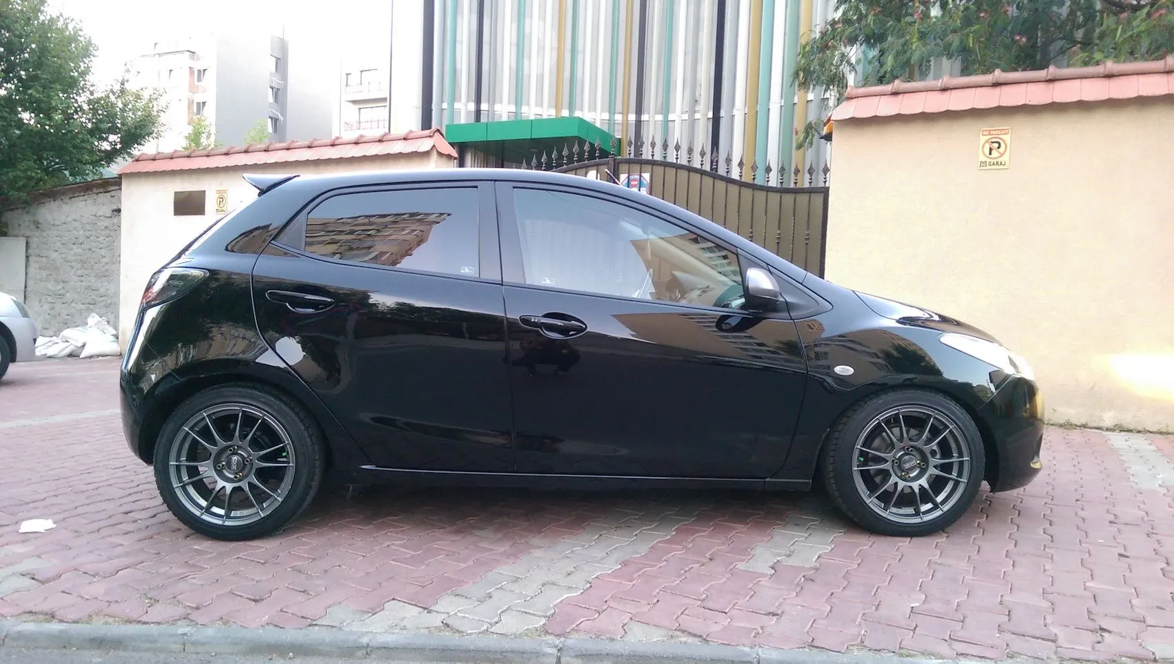IMAG0333.jpg