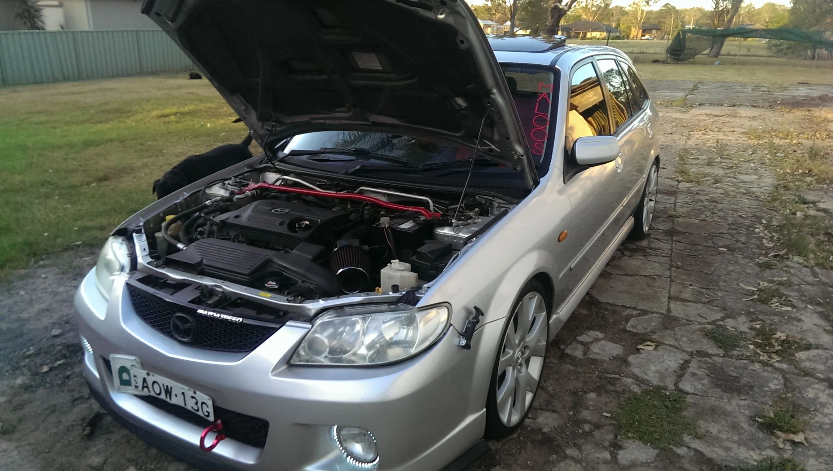 IMAG0496.jpg