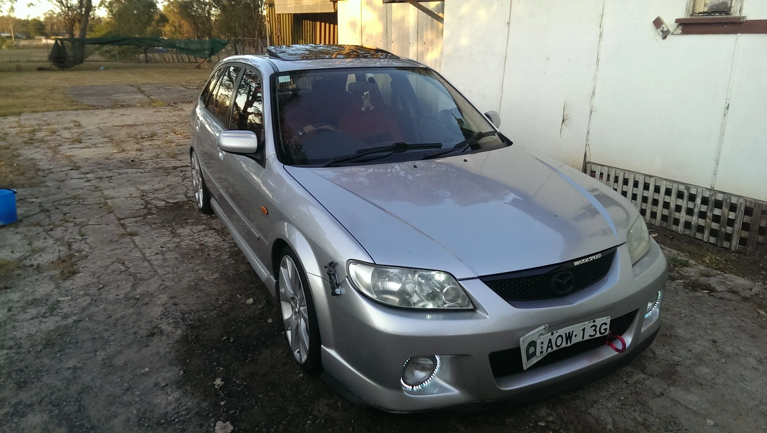 IMAG0499.jpg