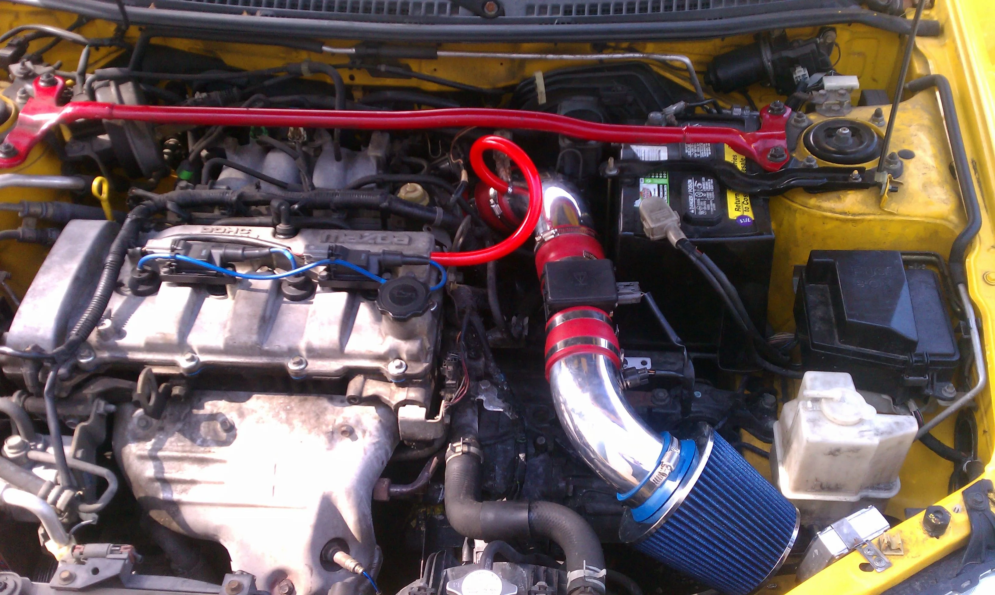 IMAG0520.jpg
