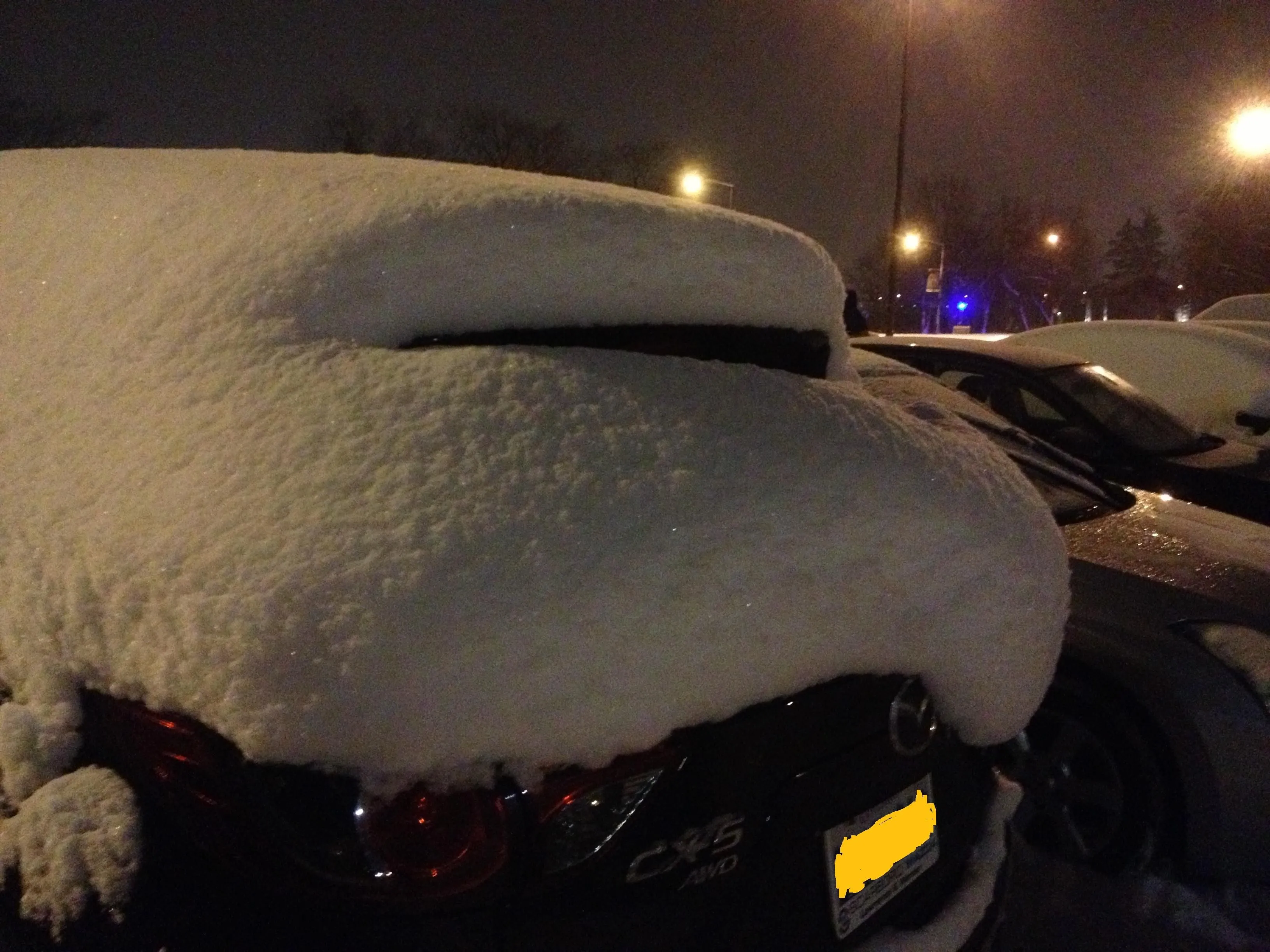 image (1) - Copy.jpg