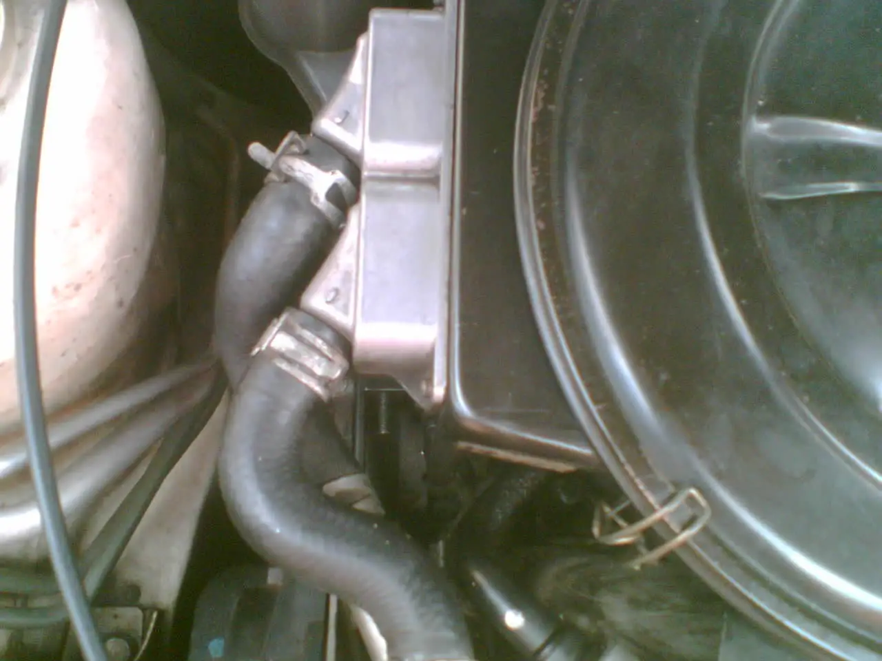 Image(215).webp