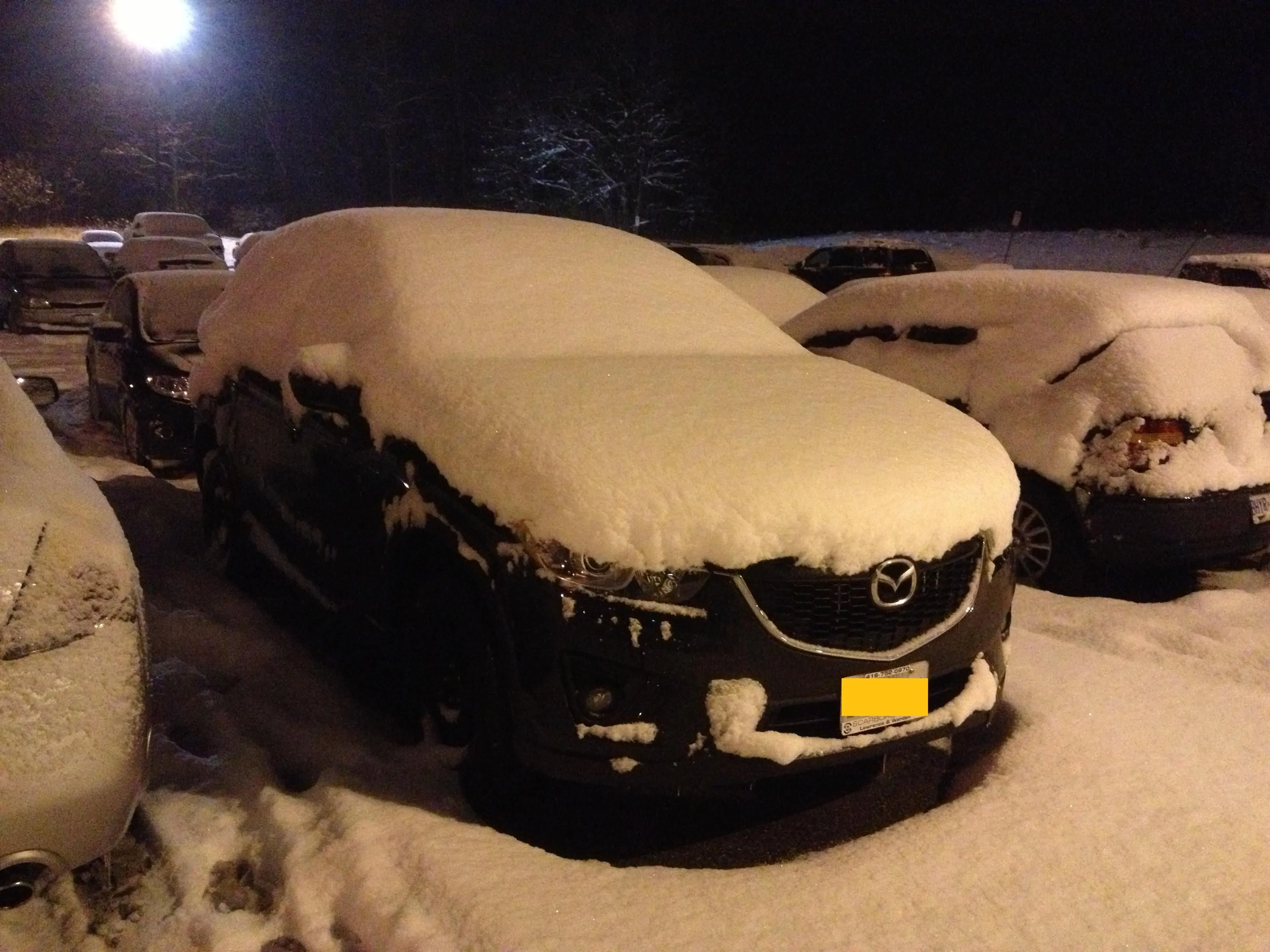 image (5) - Copy.jpg