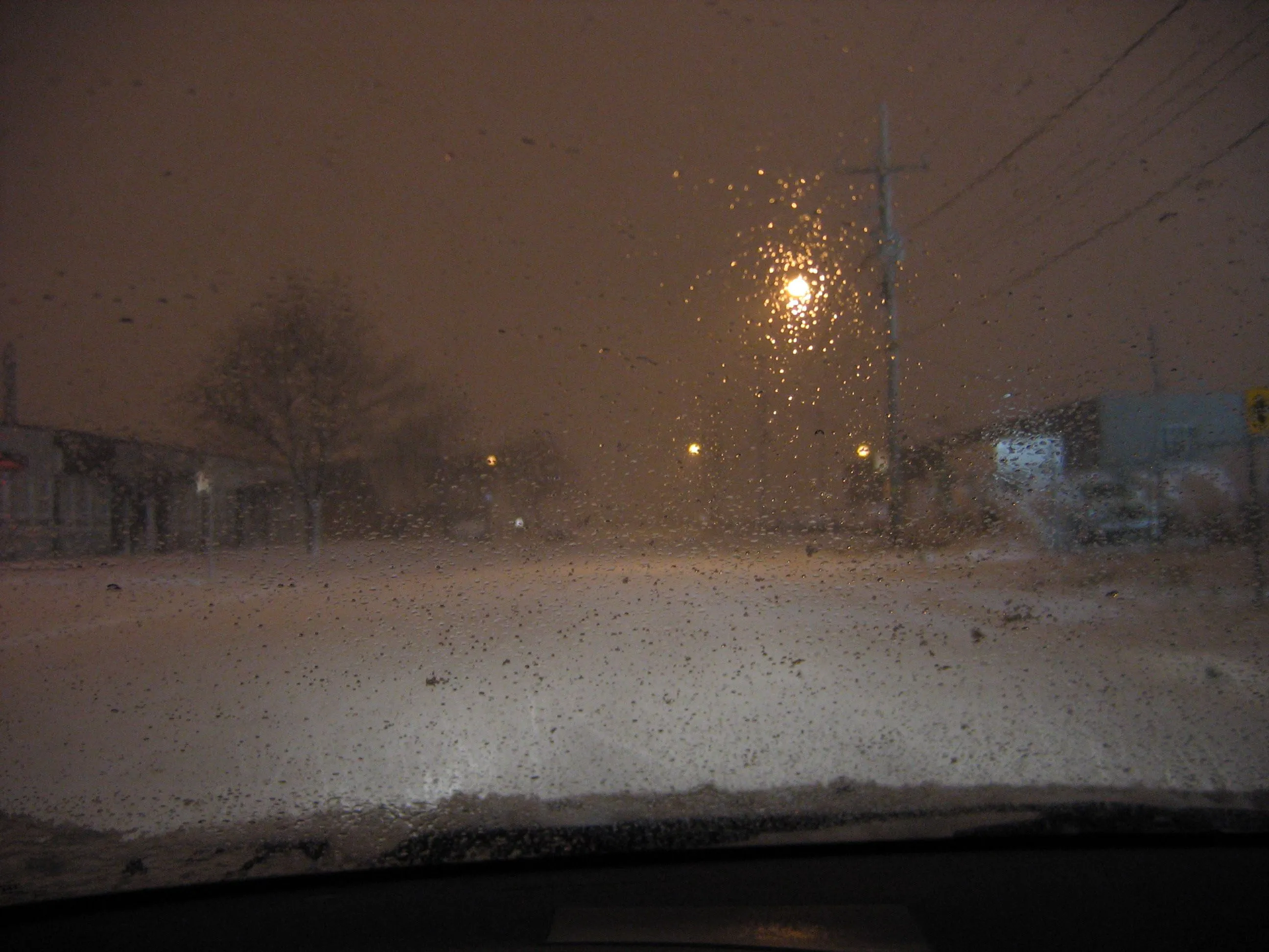 Imagen 004.webp