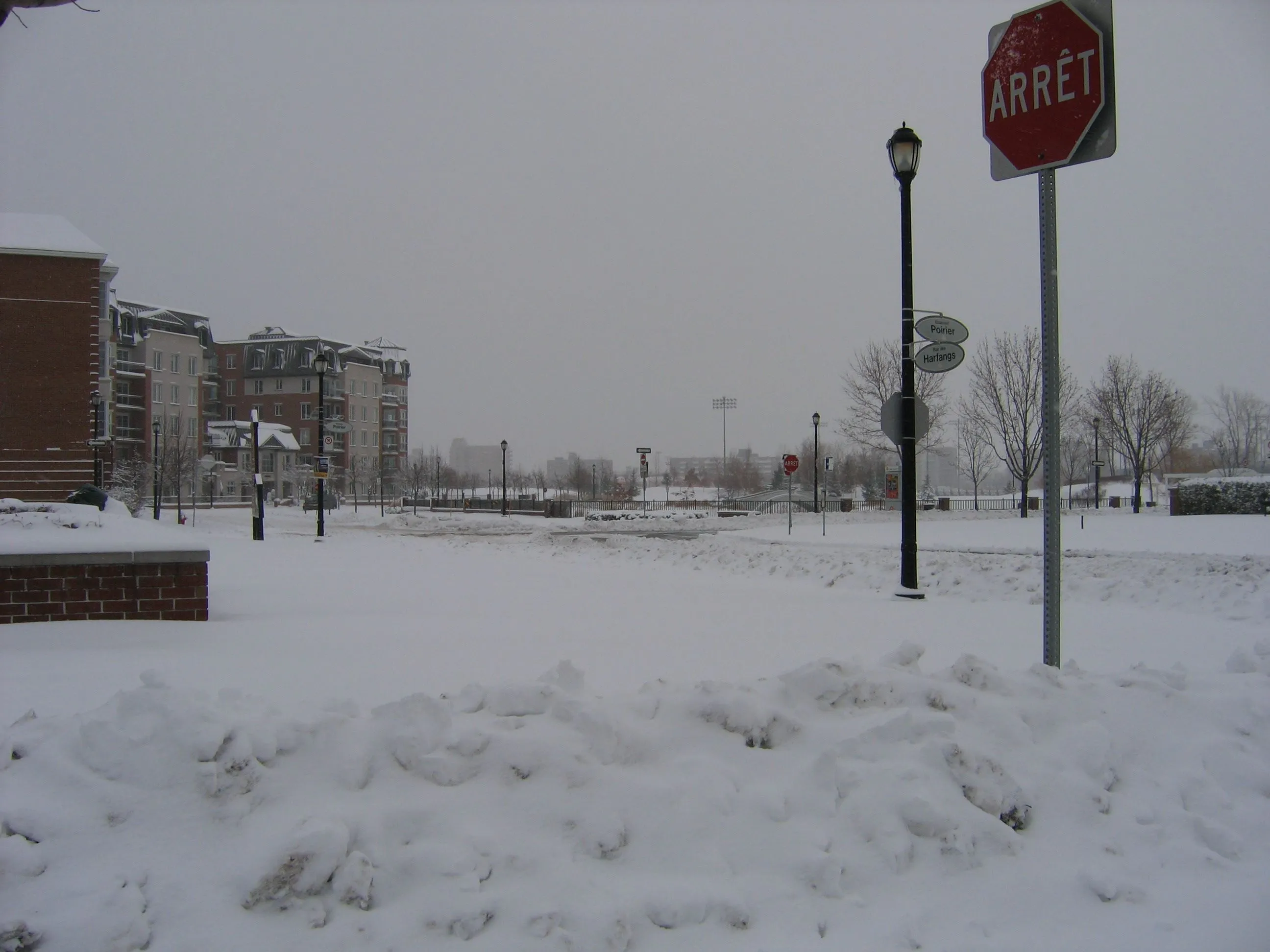 Imagen 057.webp
