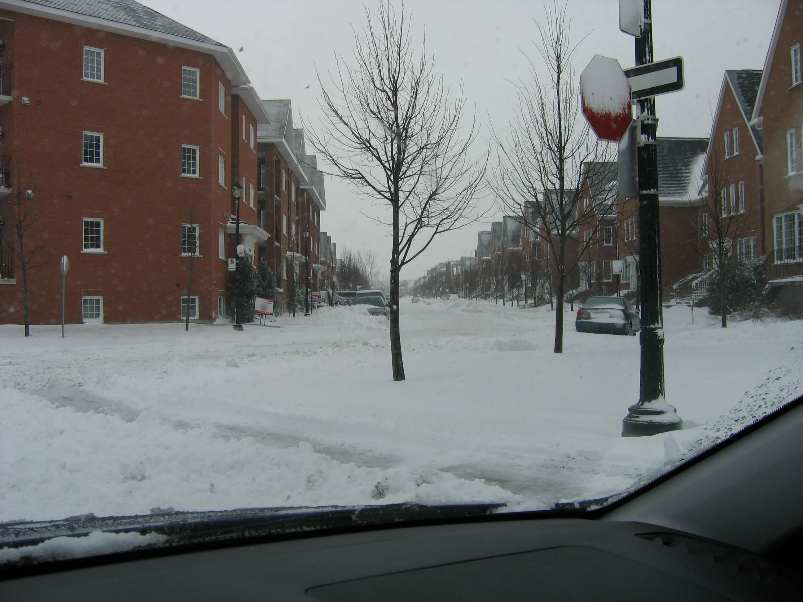 Imagen 058.webp