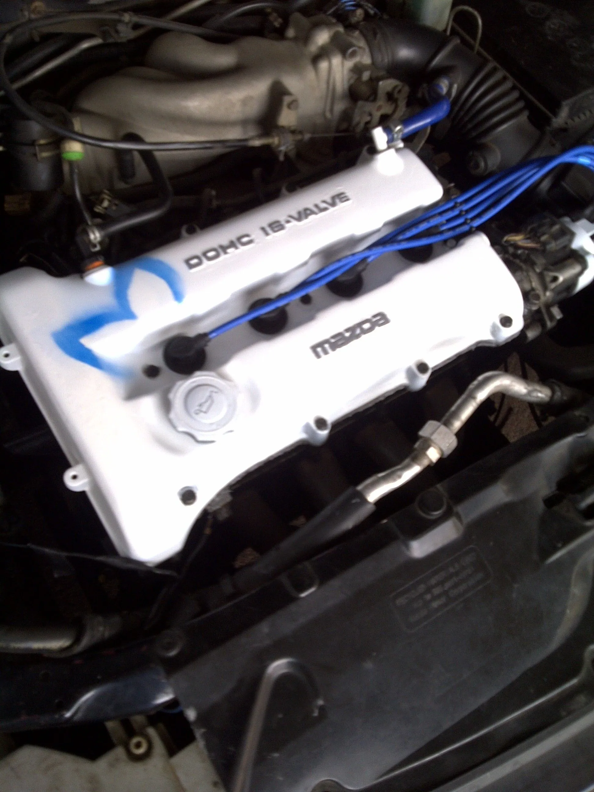 IMG-20110422-00080.jpg