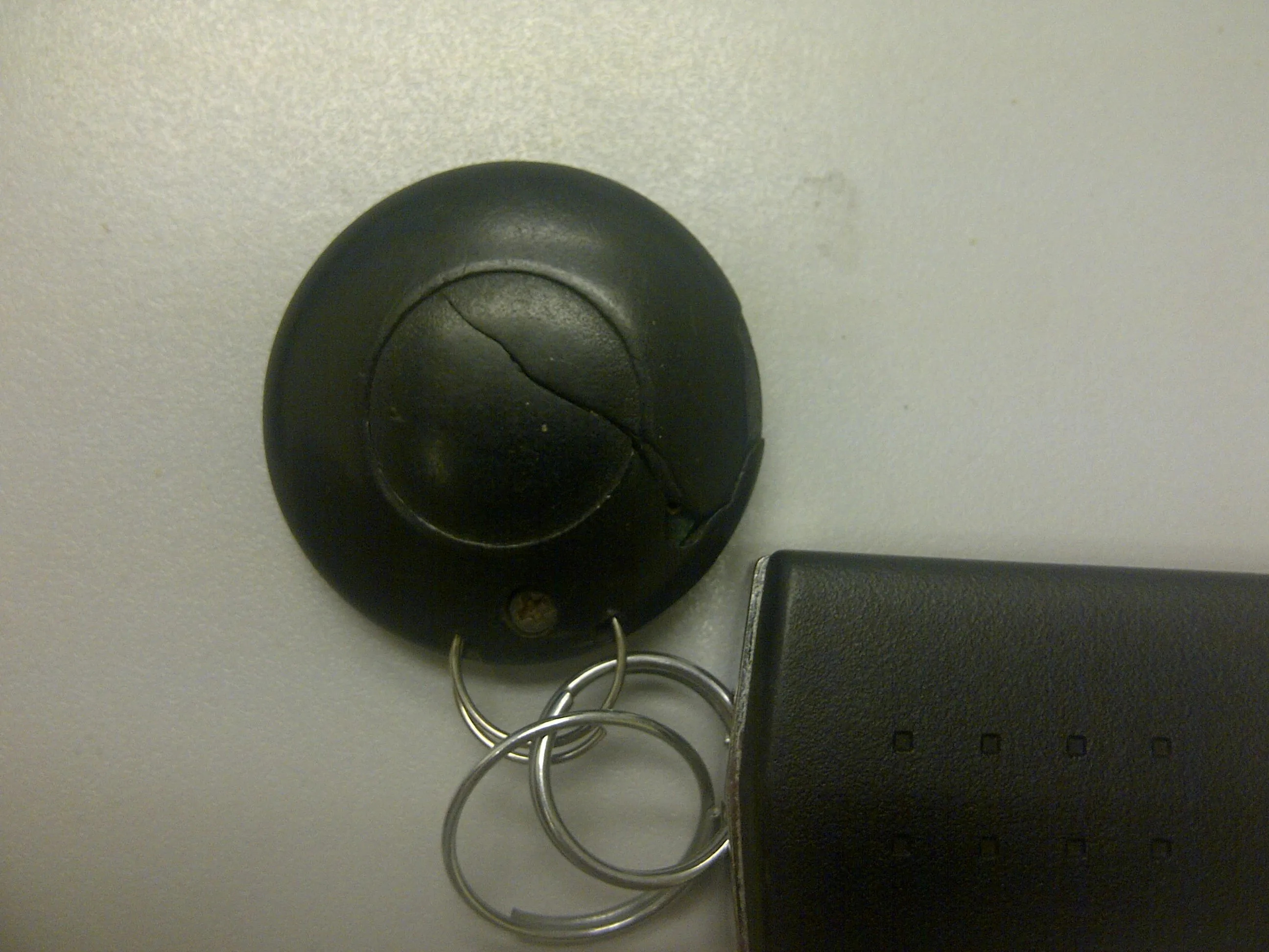 IMG-20110906-00181.jpg