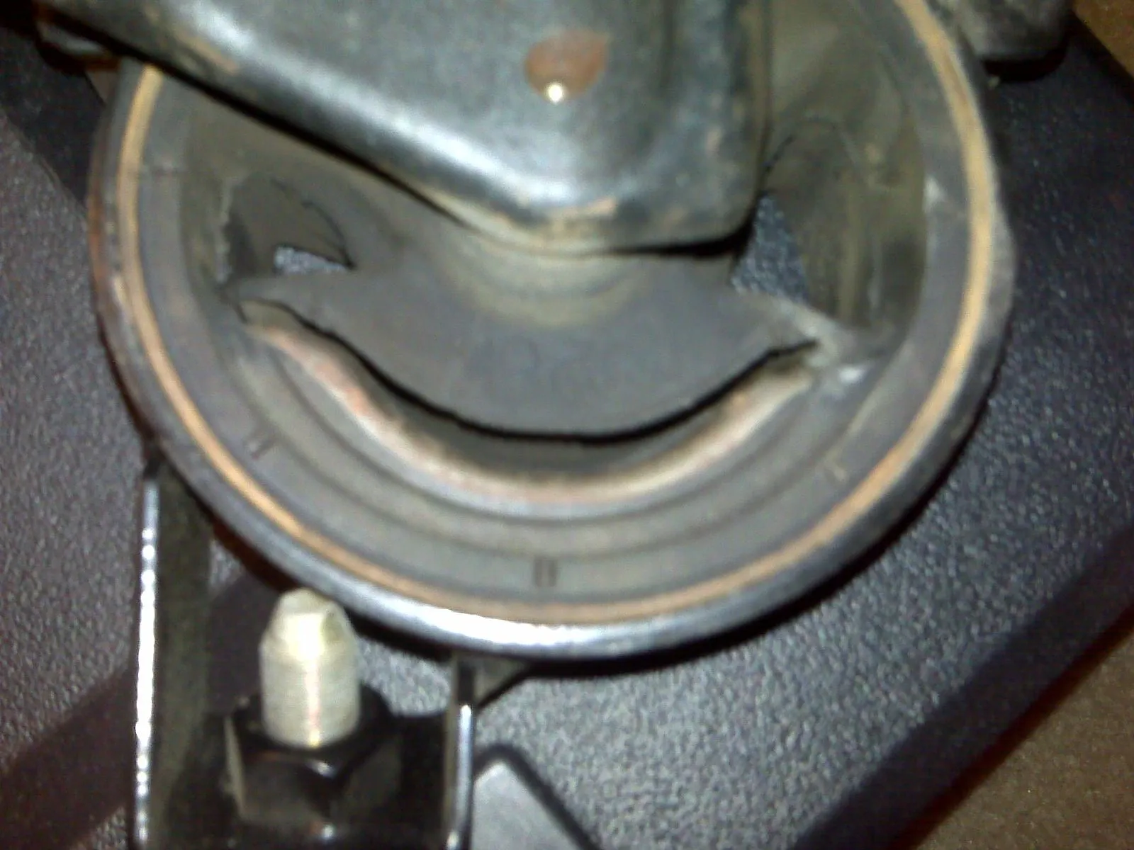 IMG00017.jpg