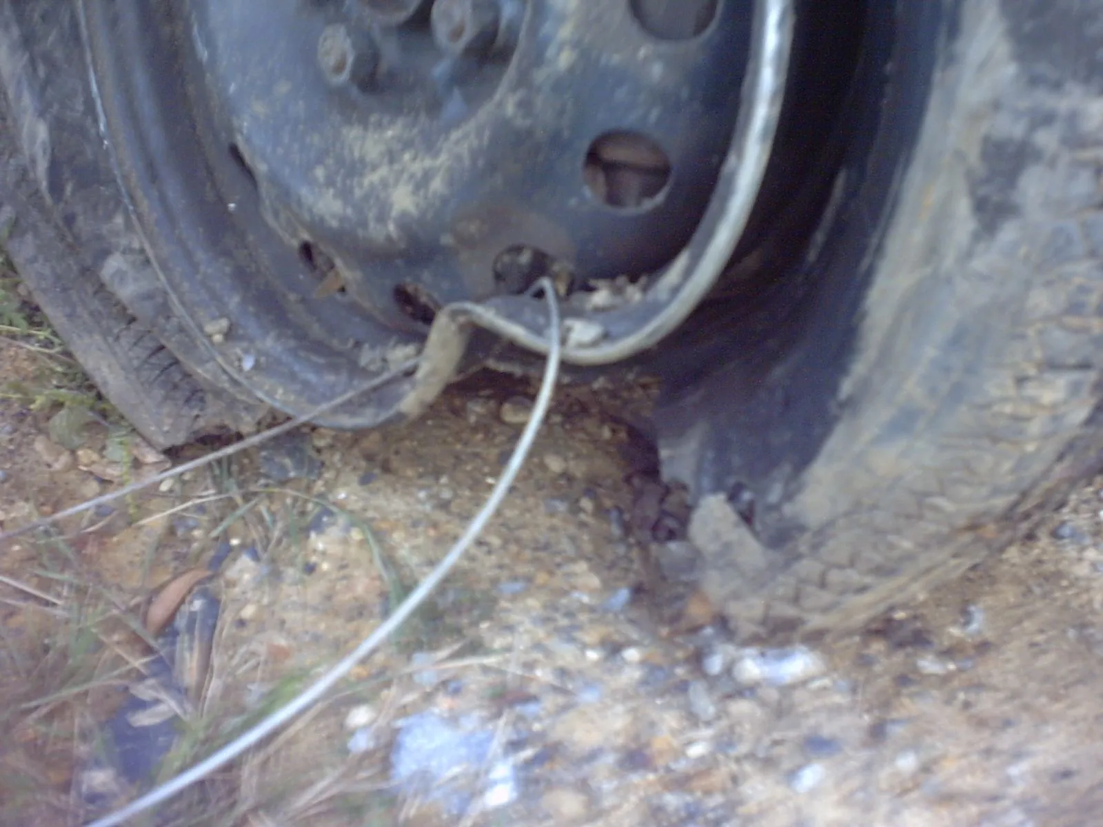 IMG00044.JPG