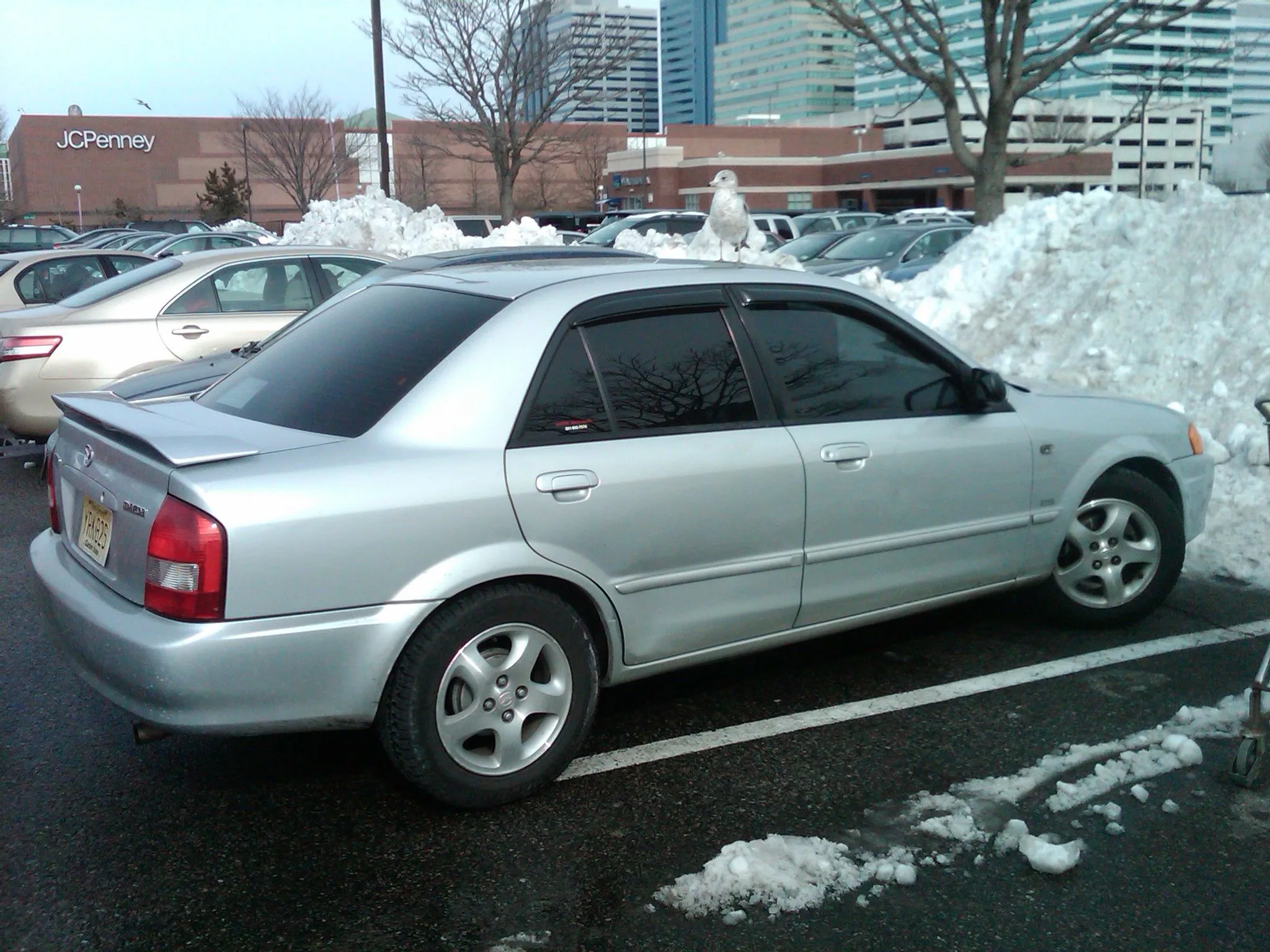 IMG00068-20100213-1307.webp