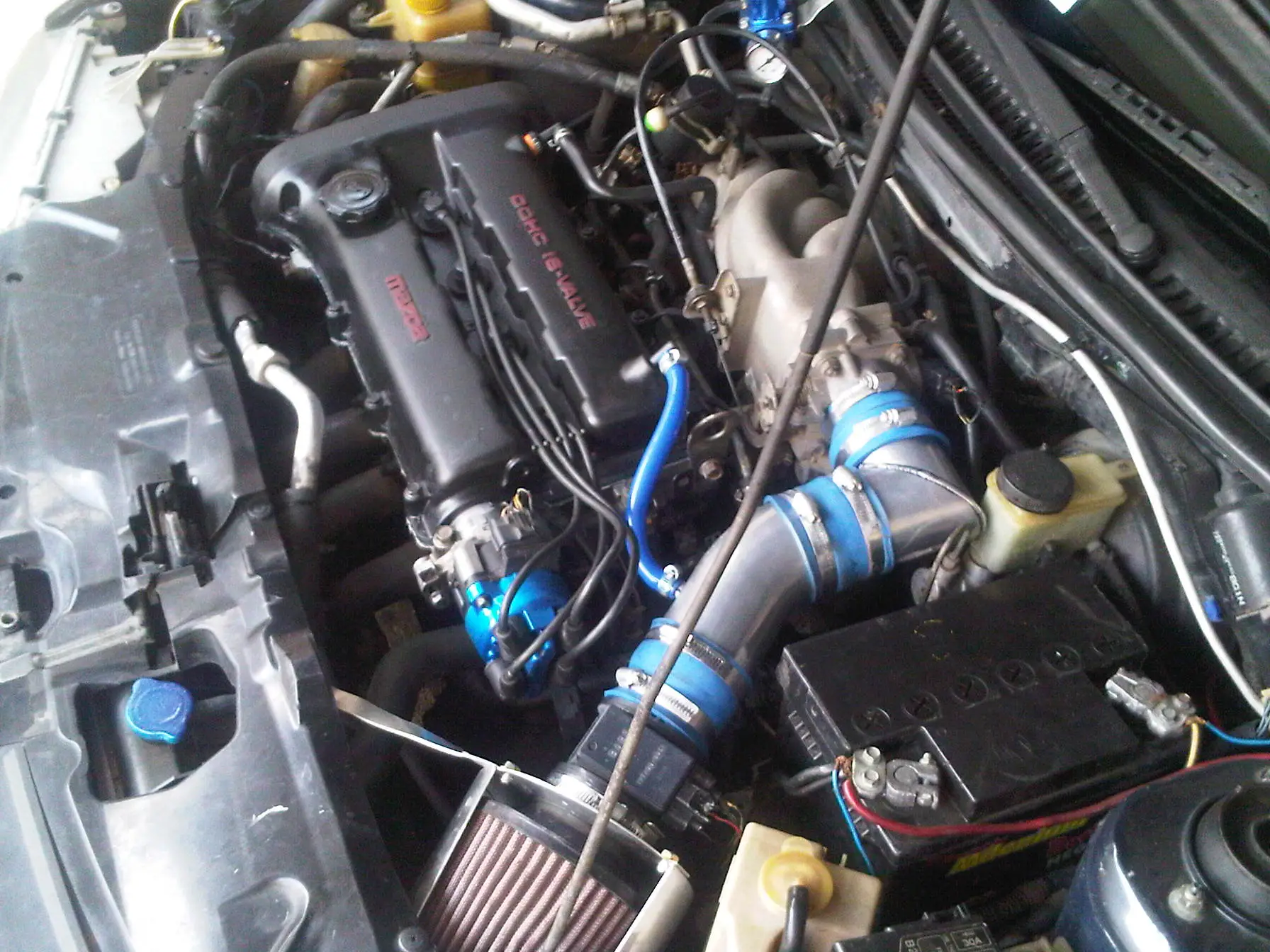 IMG00091-20101009-1726.jpg