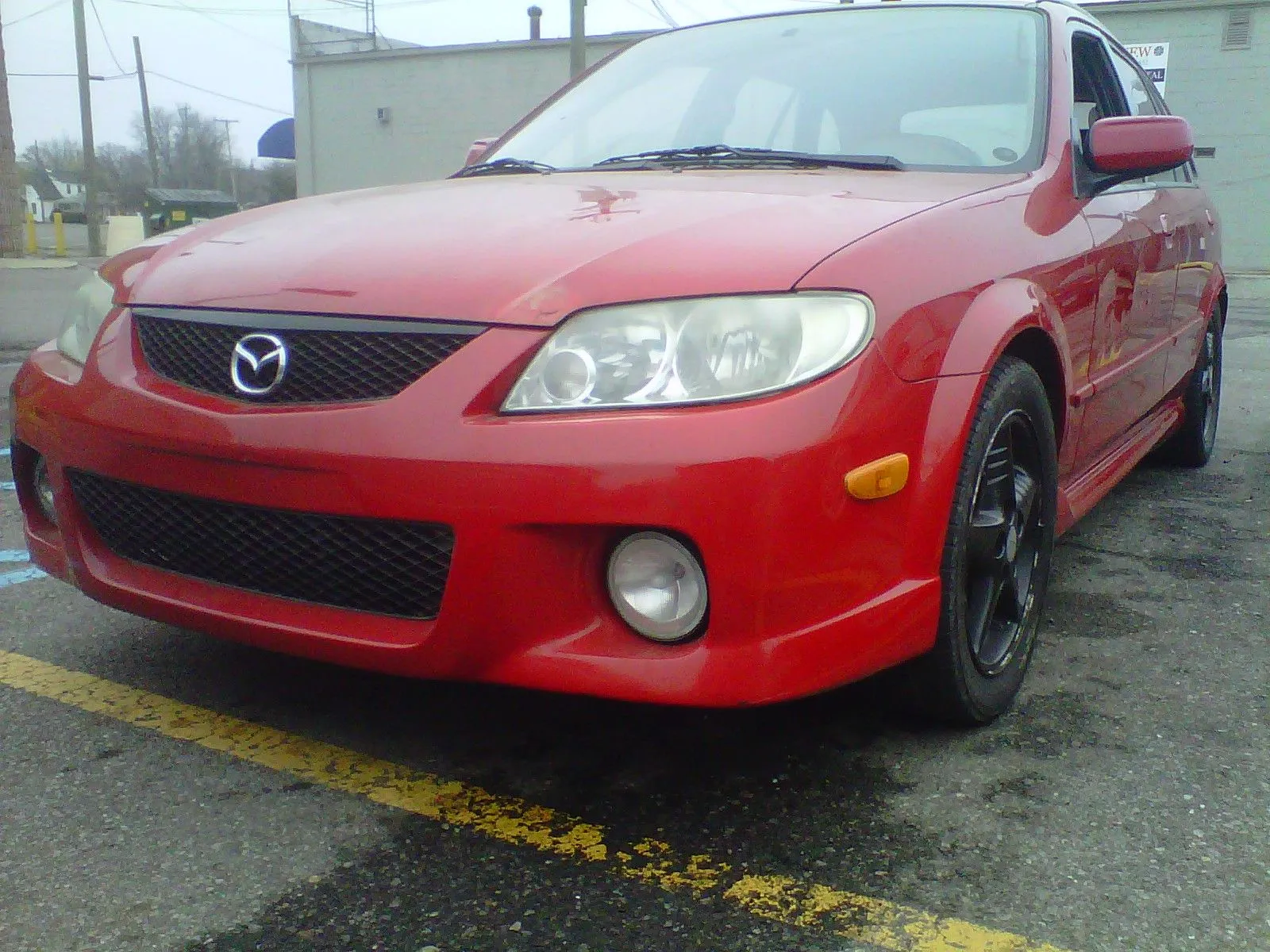 IMG00109-20120324-1302.jpg