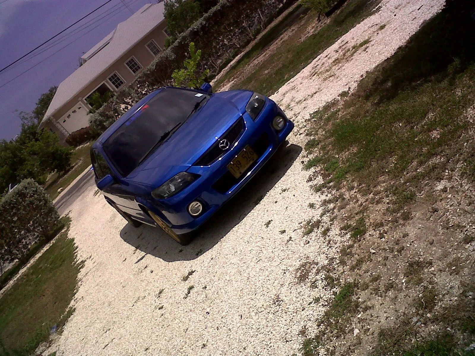 IMG00303-20100620-1350.webp