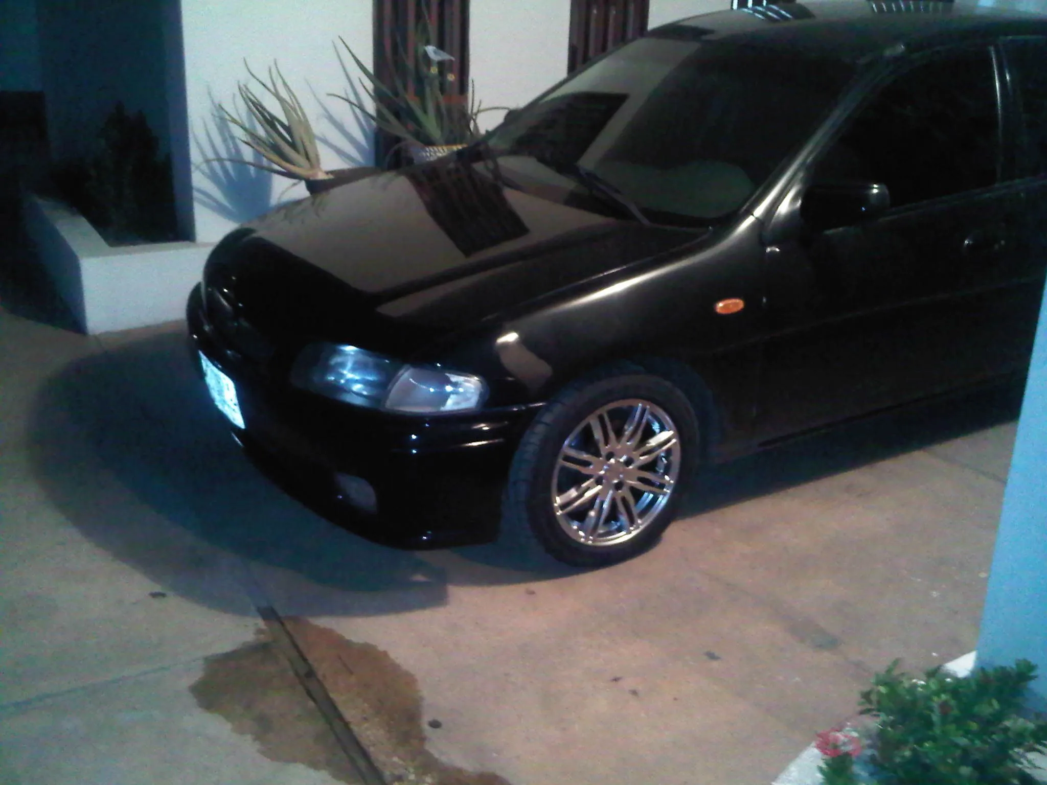 IMG00363-20101207-2032.jpg